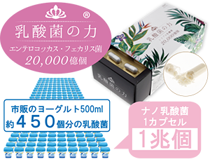 epier 乳酸菌の力